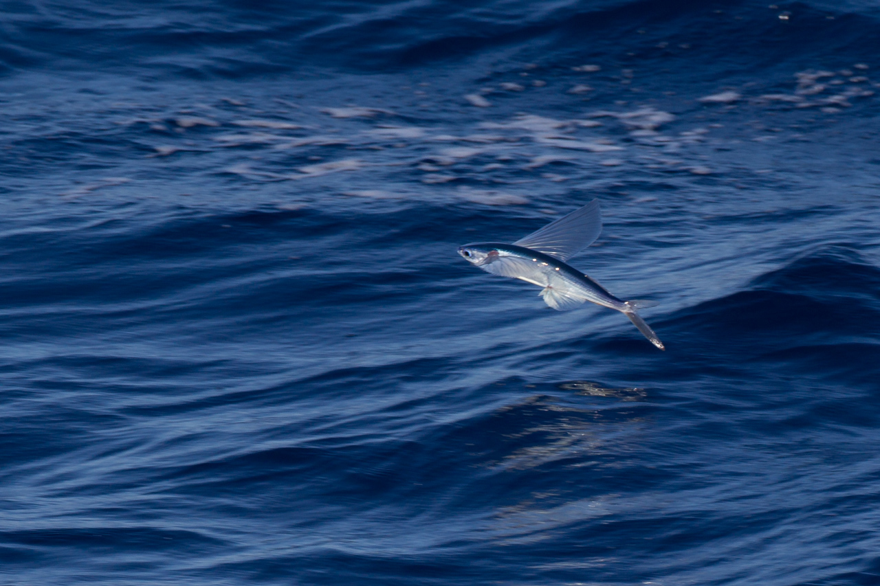 a0052080_16480096.jpg
