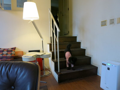 d0289980_11394047.jpg