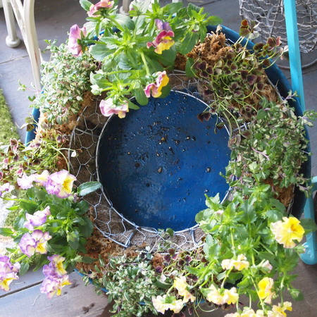 寄せ植えレッスンのご参加ありがとうございました!_a0292194_2073877.jpg