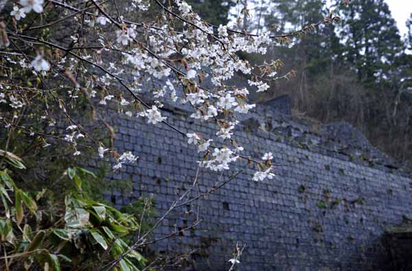 荒川鉱山・選鉱所跡_f0173596_155091.jpg