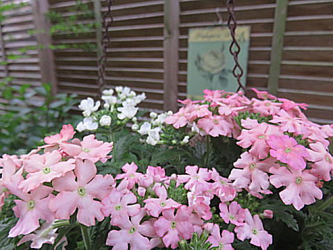 d0046702_10263888.jpg