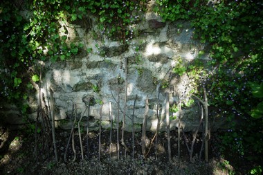 朝の庭しごと le jardinage matinal_e0206902_5564797.jpg