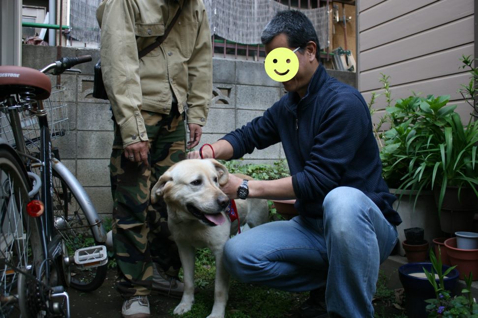 沢山の新しい出発!(ラブたち子犬たち)_f0242002_08012.jpg