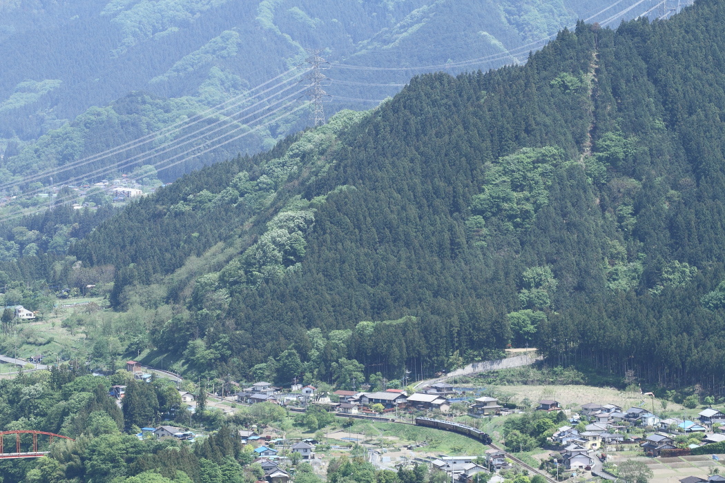 春の緑 - 2014年春・秩父 - _b0190710_2324115.jpg