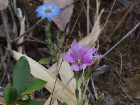 e0293913_014275.jpg