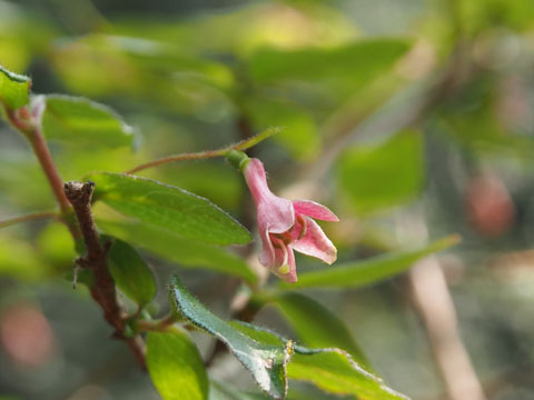 e0293913_016890.jpg