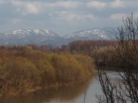 a0114514_19153572.png