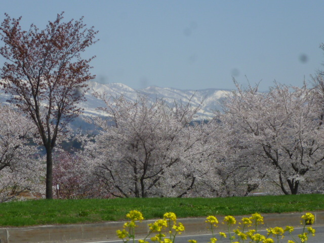 f0357714_12525771.jpg