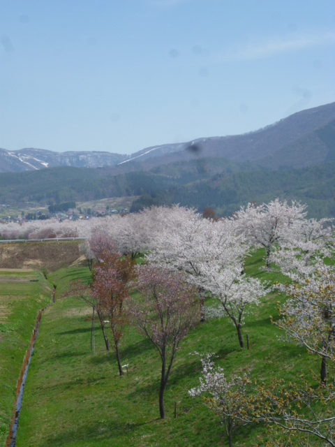 f0357714_13184319.jpg