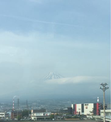油断しちゃだめな季節なのだよ(´・Д・)」と自分に。_d0123425_16403653.jpg