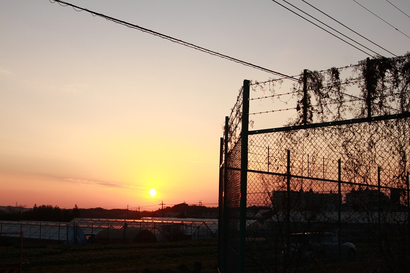 f0118426_21153141.jpg