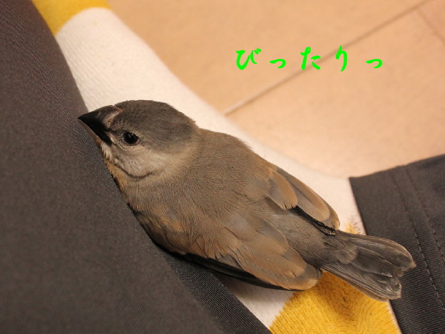 c0365734_2029287.jpg
