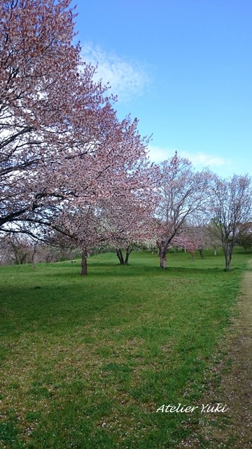 f0240834_17101312.jpg