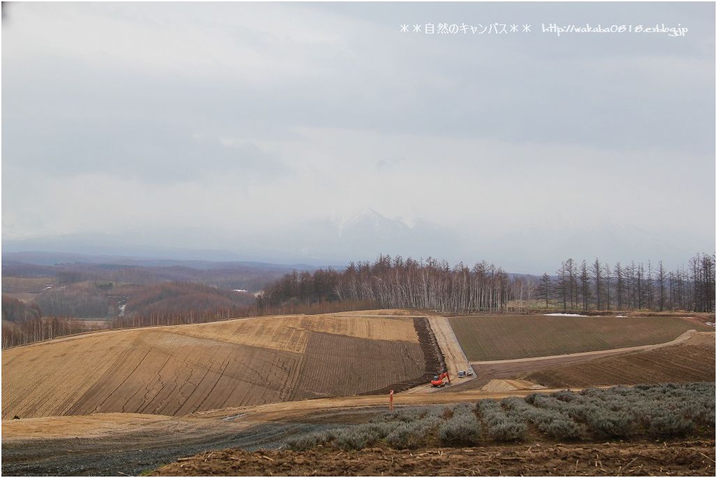 憧れの北の大地に出かけて・・・NO-3_e0052135_22505179.jpg