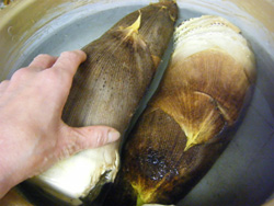 f0038336_8134282.jpg