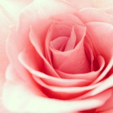 a0255040_062867.jpg