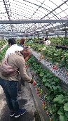 日帰りバス旅行_c0146040_91769.jpg