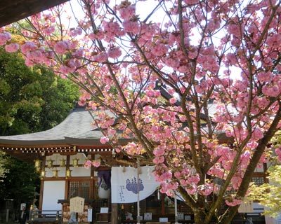 大阪府　恩智神社から信貴山朝護孫子寺へ_e0035757_22113862.jpg