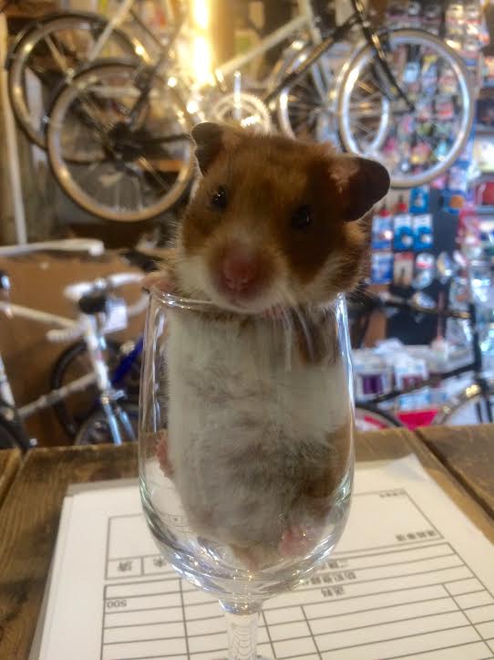 4月24日 渋谷 原宿 の自転車屋 FLAME bike前です_e0188759_1352583.jpg