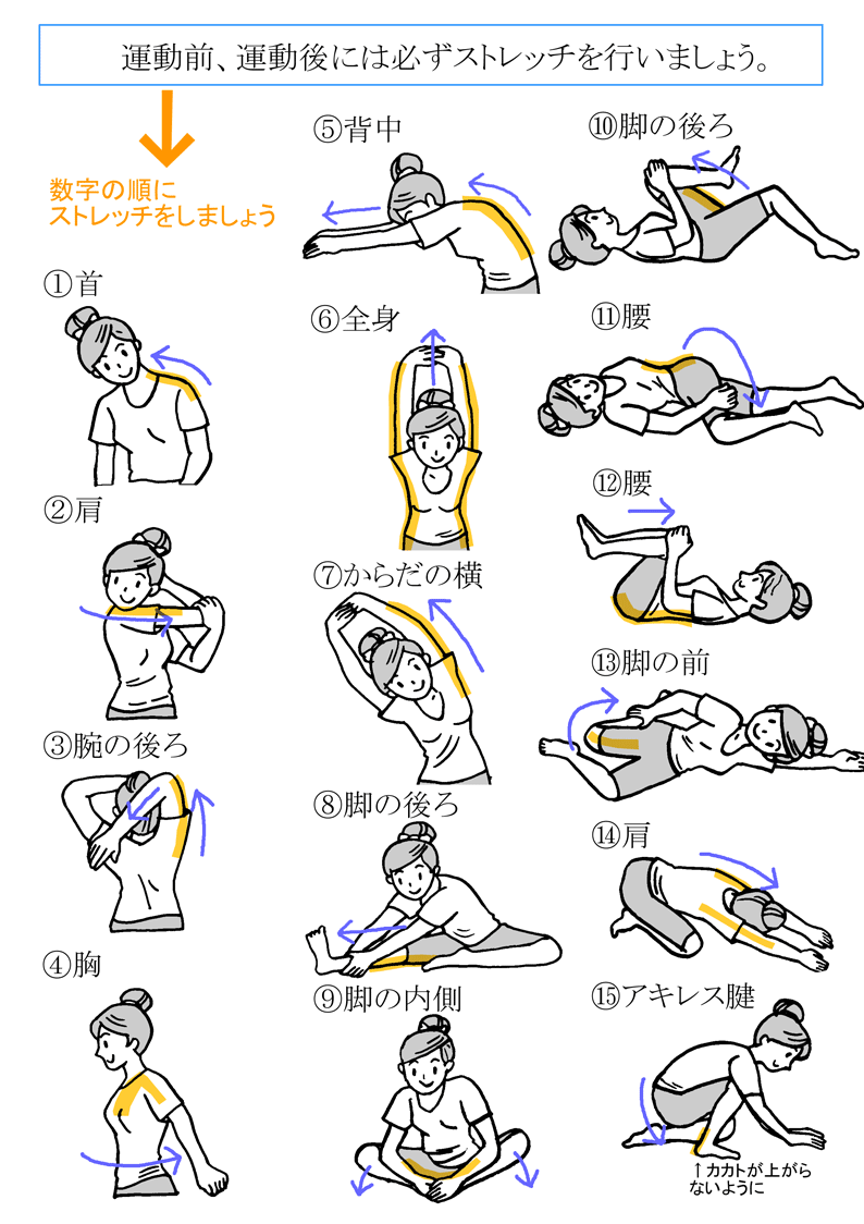 ストレッチをはじめましょう!!_e0317561_16203084.gif