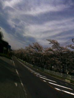 d0045362_2314178.jpg