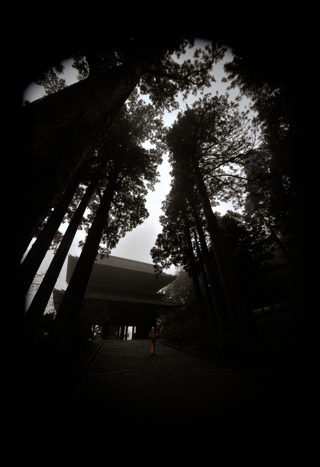 Hello! kouyasan!!_f0303670_1940123.jpg