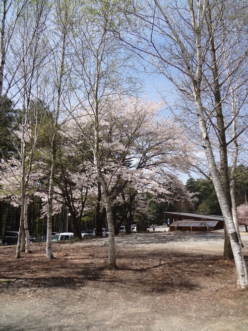 　道の駅　小淵沢_d0078471_17354135.jpg