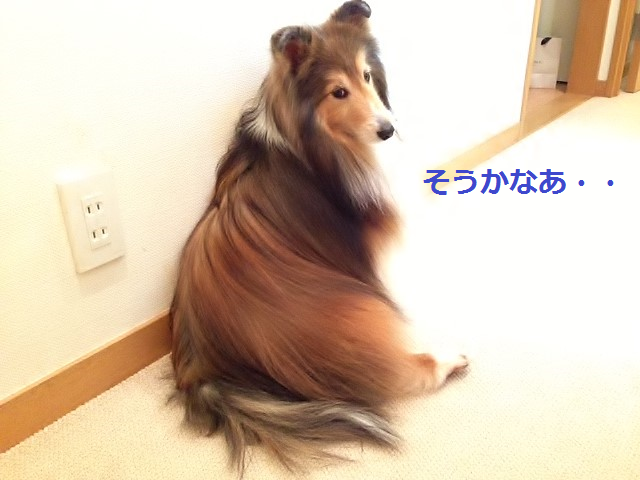 a0157174_2225654.png