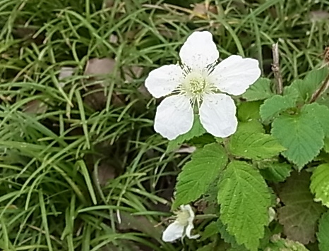c0209377_23323991.jpg