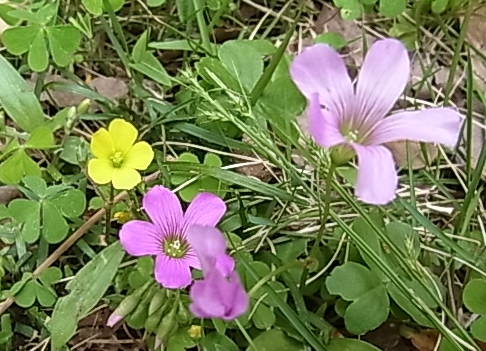 c0209377_23335348.jpg