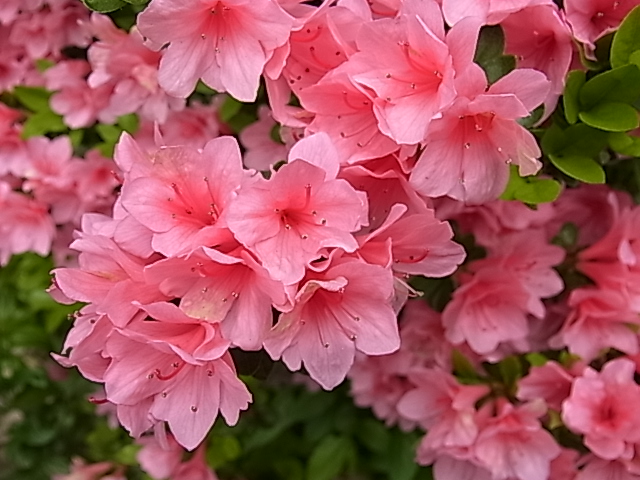 c0209377_23358100.jpg