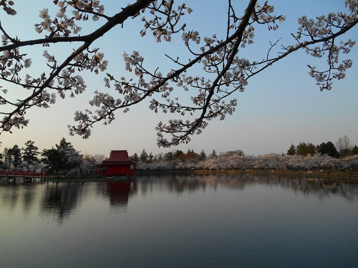 お花見台湾茶会2015＠猿賀公園　開催のお知らせ_c0198781_2454158.jpg