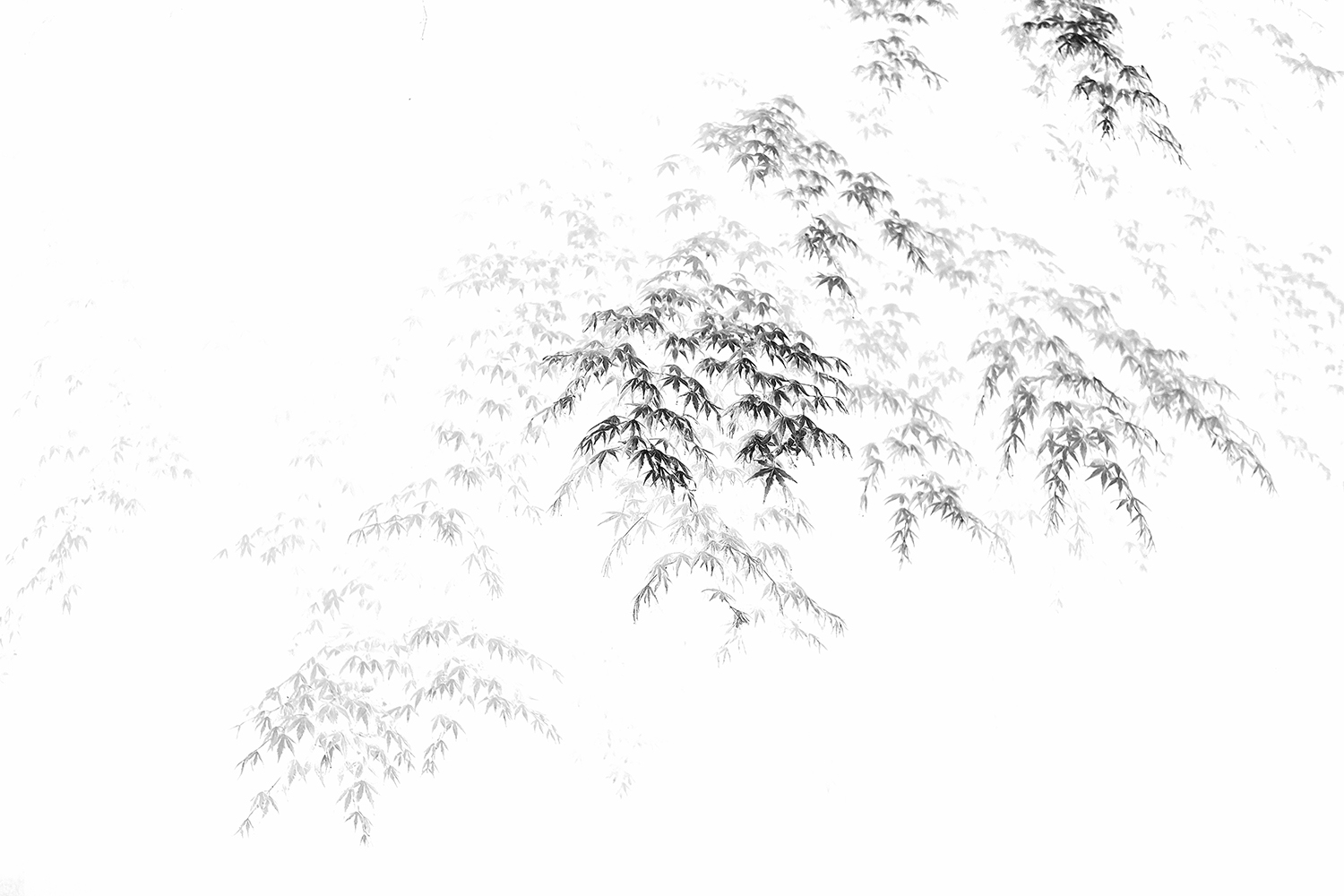 a0141586_7384720.jpg