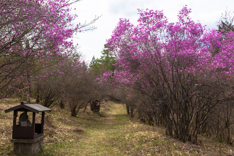 楞厳寺_e0051888_22502387.jpg