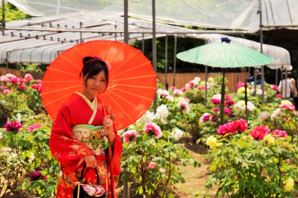 清水山ぼたん園で撮影会・平成２７年４月２１日・千寿の楽しい歴史_a0137997_2034887.jpg