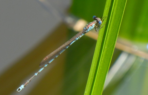 a0236300_11119.jpg