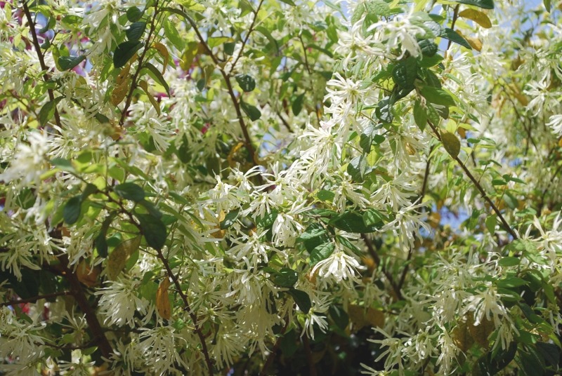 e0025300_12444112.jpg