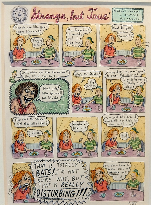 アメリカを代表する漫画家の一人、Roz Chastさんの個展 Something More Pleasant_b0007805_22392849.jpg