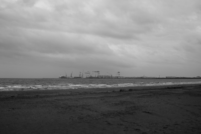 f0251613_2350887.gif