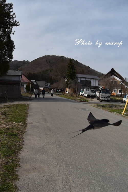 憧れだった大内宿へ・・・♪♪_e0160417_18102840.jpg