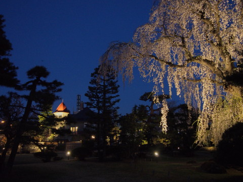 藤田記念庭園の夜桜（弘前市）*2015.04.25_b0147224_2239463.jpg