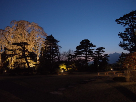藤田記念庭園の夜桜（弘前市）*2015.04.25_b0147224_22433250.jpg