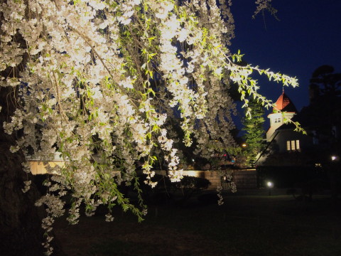 藤田記念庭園の夜桜(弘前市)*2015.04.25_b0147224_22461747.jpg