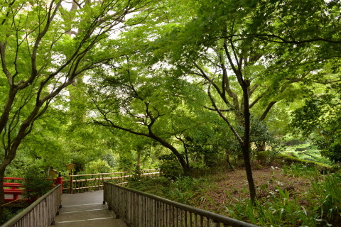 e0335926_11325800.jpg