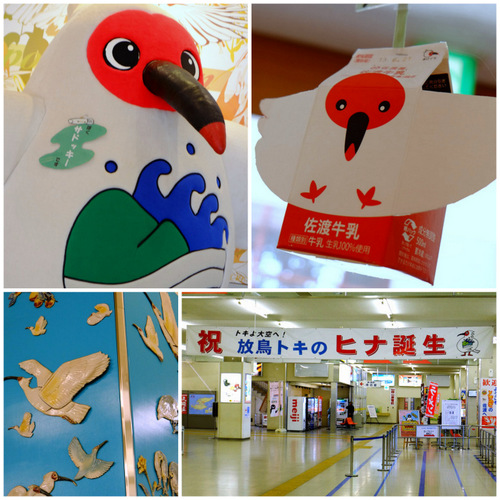 「新潟・佐渡 佐渡名物!佐渡金山とトキの森センター」_a0000029_2140241.jpg