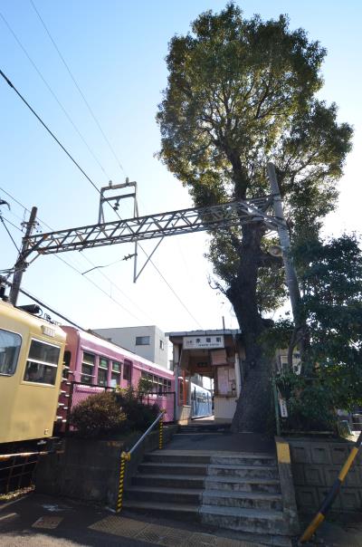 にわか撮り鉄 IN 四日市(内部・八王子線）_a0152040_21385072.jpg