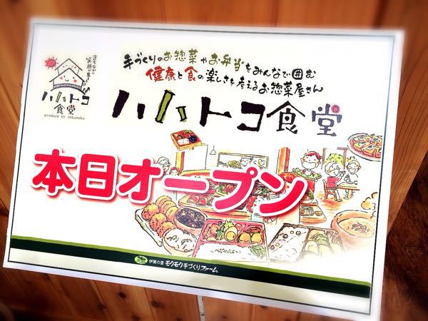 ハハトコ食堂・津松菱店_e0292546_826024.jpg