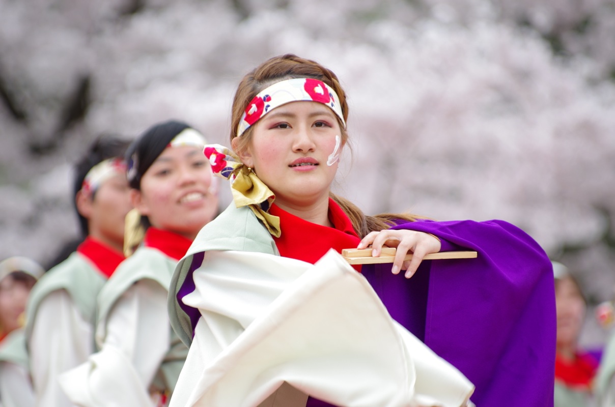 京都さくらよさこい２０１５一日目その３３（京都チーム「櫻嵐洛」）_a0009554_23392530.jpg