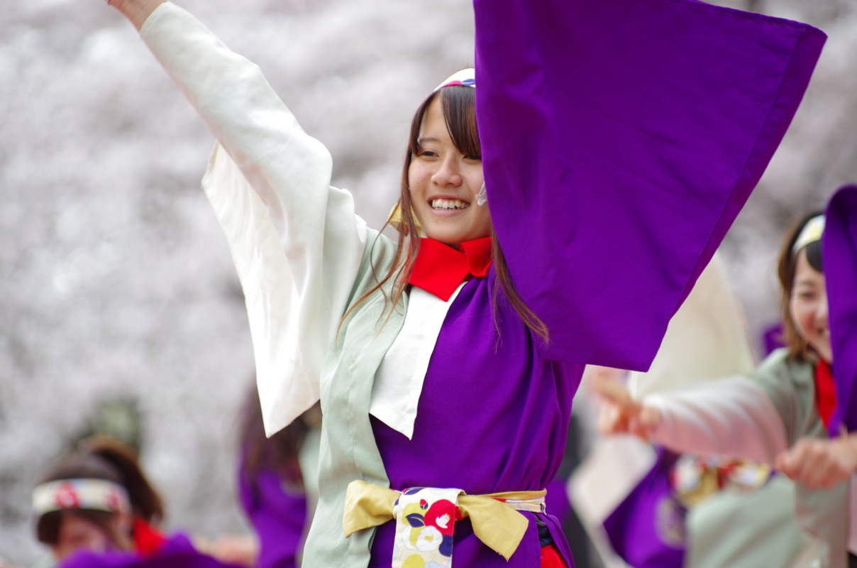 京都さくらよさこい２０１５一日目その３３（京都チーム「櫻嵐洛」）_a0009554_23413045.jpg