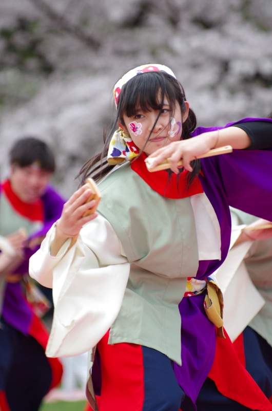 京都さくらよさこい２０１５一日目その３３（京都チーム「櫻嵐洛」）_a0009554_2344194.jpg